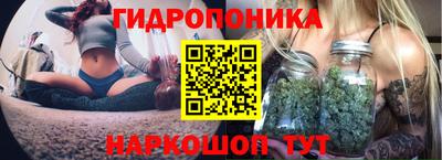 СК Нальчик