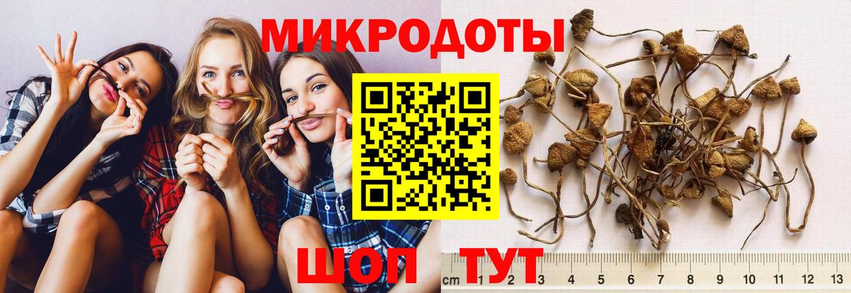 Галлюциногенные грибы GOLDEN TEACHER  Псилоцибиновые грибы Magic Shrooms  Вход с VPN  Ставрополь 